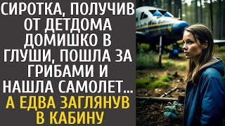 Сиротка, получив от детдома дом в глуши, пошла за грибами и нашла самолет… А едва заглянув в ка