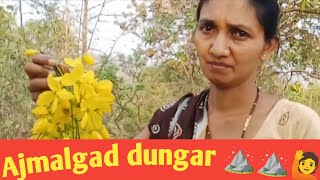 Ajmalgad dungar vansda ⛰️⛰️🙋//वासदा अजमलगढ़ डूंगर //Travel video//you tube Travel 2024 //