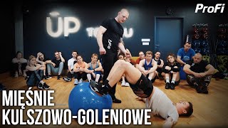 MIĘŚNIE KULSZOWO-GOLENIOWE BEZ TAJEMNIC