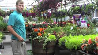 Potting Up Planters