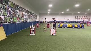 CPE Agility Trial, Aug 4-6, All Runs