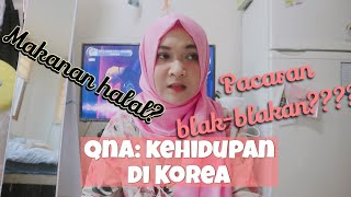 qna : Kehidupan di Korea | nyarita