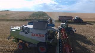 Lexion 480 9M | Fendt 942 & 720 | A la moisson de blé bio | E.T.A Gaidoz