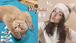 VLOGMAS #2//УЧЁБА В КОНЦЕ СЕМЕСТРА//НОВОГОДНЯЯ АТМОСФЕРА//ДЕКАБРЬ 2020