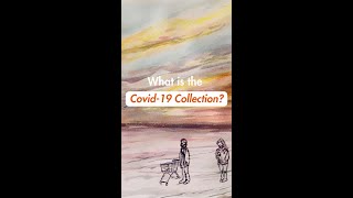 Who Submitted Material to the Covid-19 Collection?