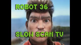 0059 Toonify SSTV Robot36