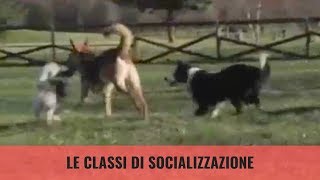 Le Classi di Socializzazione