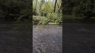 Scrolling Austin T. Blakeslee Natural Area river (2022)