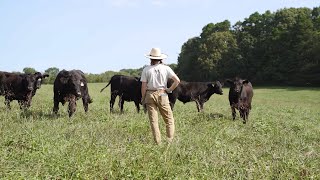 Seeds in Season 2024 | Support Your Local Farmer -  Promo Video - G7 Media