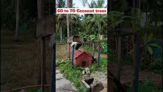 Farm House for sale at Maddur Cal 7619398566