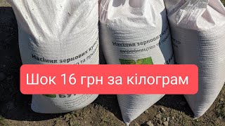 Закінчили посівну пшениці