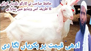 Online Rajanpuri goats cargo going to Shujabad Hafiz Naeem has sent animals #GoatFarmingin Pakistan