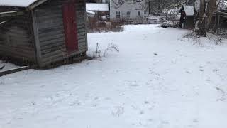 James sledding