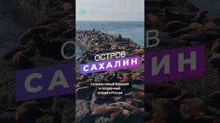 Самый большой остров в России