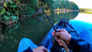 25 mins of relaxing Kayak bass Fishing "I BREAK MY LURE"