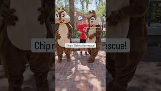 Meet Chip n' Dale and recharge in Storybook Circus.