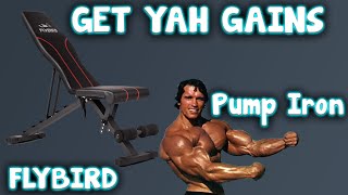 Get Some Gains On A Workout Bench! Fly Bird Dumbbell Bench :)