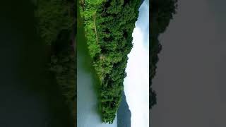 കവ, പാലക്കാട്.               #nature #beautiful #viral #video #subscribe #dji #drone #dronevideo