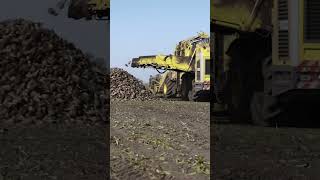 Massive Harvest Power: Ropa Tiger 6 in Ukraine