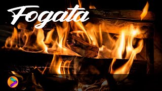 Hoguera relajante | Sonidos de fogata de noche RELAX SONOTERAPIA🔥🔥🔥