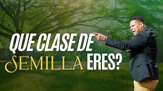 Que tipo de semilla tú eres ?- Pastor Israel Jimenez