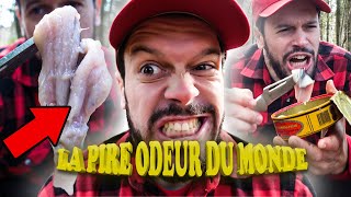 JE MANGE DU SURSTRÖMMING, LA PIRE ODEUR DU MONDE !