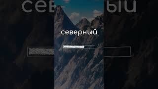 🤘🇬🇧 Английские слова на каждый день ⚡ Самостоятельное изучение английского 🗣 #английскийязык