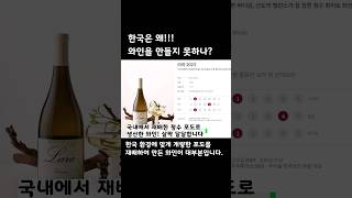 한국은 왜!!! 와인을 만들지 못하는가???