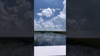 The Everglades Safari Park - Miami FL #shorts