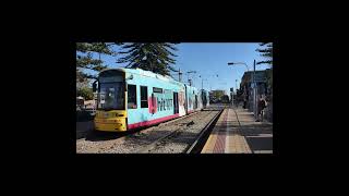 Adelaide trams around the suburbs. #shorts #trams #lightrail #lightrailtransit  #publictransport