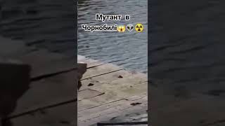 Мутант Чорнобиль