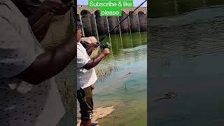 fishing best tilapia  😱#shorts Amazing #viral