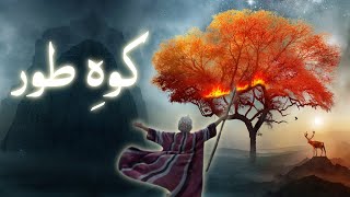 Hazrat Musa aur Koh e toor ka waqiaᴴᴰ | story of Mount Sinai | Qasasul Ambiya | Amber Voice | Urdu |