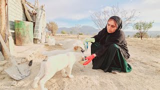 "Lonely mother :with her puppies in a beautiful :mountain scene:2023