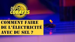 Comment faire de l'électricité avec du sel ? - Défis Cobayes - France 4