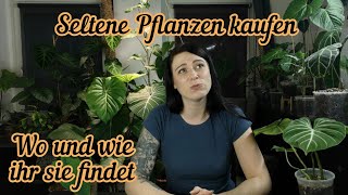 Wo ihr seltene Pflanzen kaufen könnt | Pflanzen importieren, Gartencenter uvm.