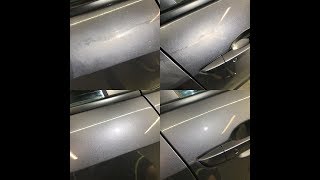 DTLRSHP 25: Dad helped detail Civic Si and destroyed it! 2018 Honda Civic Si & Opticoat Pro+