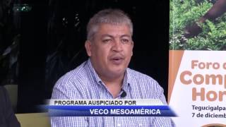 Programa de TV sobre el Foro de Competitividad Hortícola.