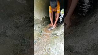 Unique River Monster Fishing Using kurkure #fishing #shortsvideo #villagefishing #fishingtechniques