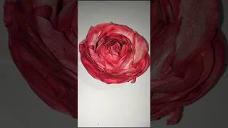 Easy gulab craft🌹#trendingshorts #trending #rose #art#craft