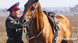 Валентин Куба.Птица ворон, мне б с тобою.