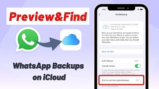 How to Access WhatsApp Backup on iCloud? Find WhatsApp Backup on iCloud in An Easy Way!