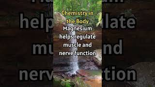 Magnesium Vital for Muscles, Nerves, and Immunity! #shorts #facts #didyouknow #curiousfacts