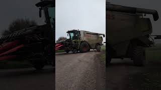 Lexion 570 mit Maisgebiss 🇨🇭💪