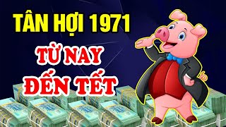 Tuổi Tân Hợi 1971 Từ Nay Đến Tết 2024 PHẬT ĐỘ MỆNH, Bỗng Đổi Đời, TRÚNG ĐỘC ĐẮC Cực Mạnh | TVV