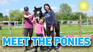 MEET THE PONIES 2 - MEET ALL 11 PONIES ON OUR YARD