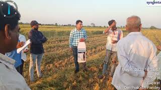 farmer review.. syngenta Rice portfolio.....