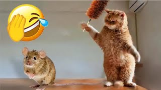 Funniest Cats and Dogs 😂 Best Funny Video Compilation 😹