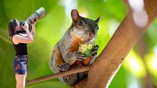 I found tropical squirrels & crawled up to crocodiles 🐿🐊 Oaxaca, Mexico