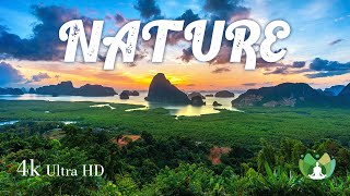 1 Hour of Best Nature Relaxation 4K - Calm Your Mind With Beautiful Scenery with Relaxing Music